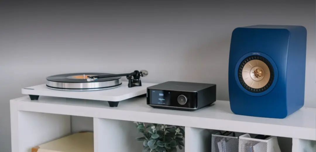 WiiM Amp Ultra 81806127 Streamer/Versterker - Grijs - afbeelding 6 van 6
