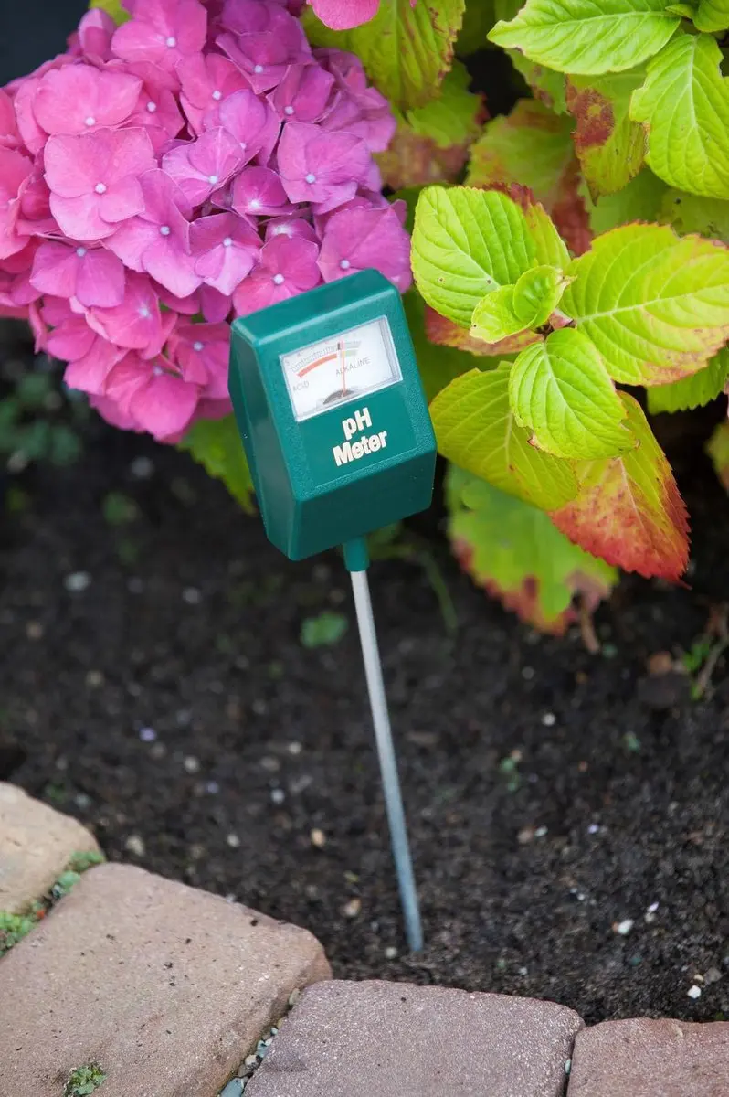 Nature pH-meter
