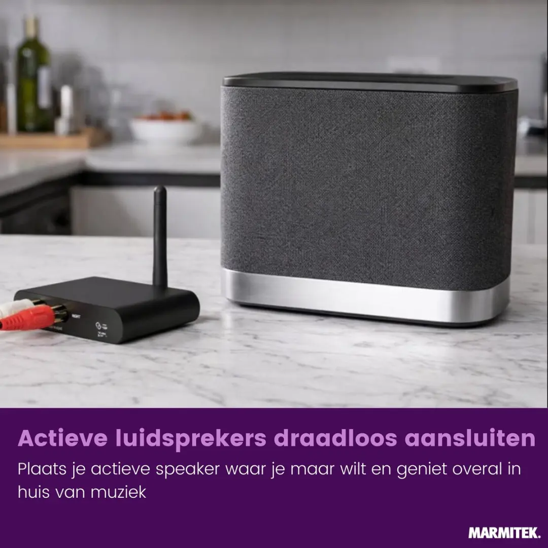 Marmitek WA300 Draadloze Audio Zender & Ontvanger - 25008449