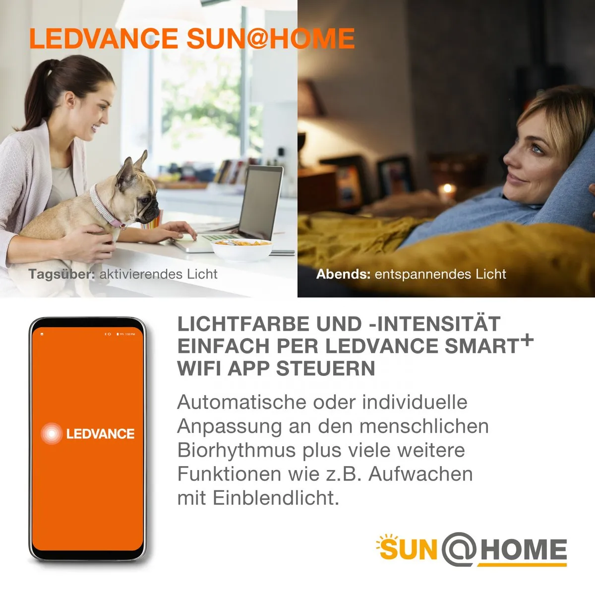 LEDVANCE SUN@Home Plafondlamp 450mm - 18.5W - 5000lm - Zilver