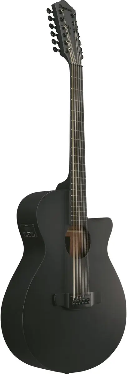 Ibanez AEG1221-BOT 12-String Akoestische Gitaar