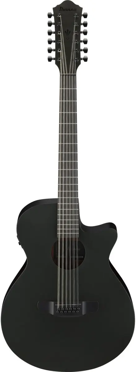 Ibanez AEG1221-BOT 12-String Akoestische Gitaar