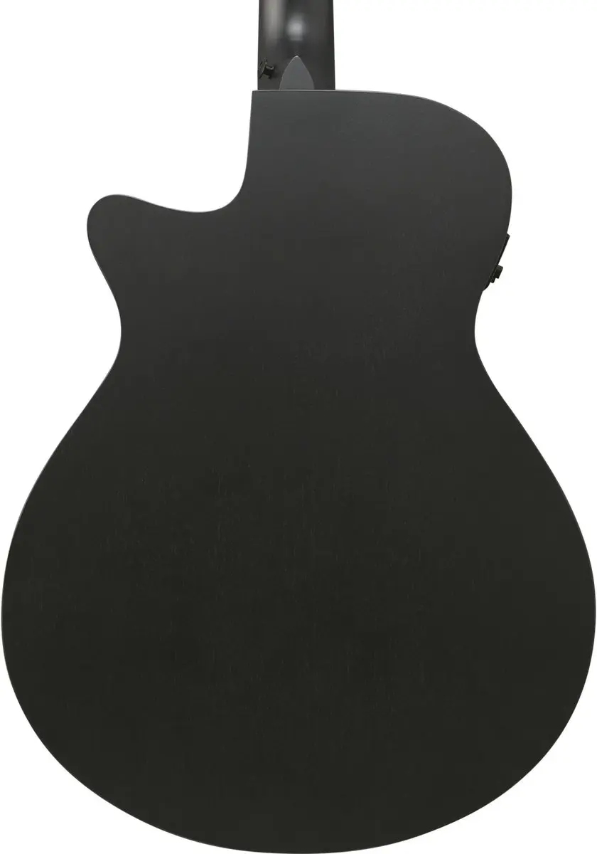 Ibanez AEG1221-BOT 12-String Akoestische Gitaar