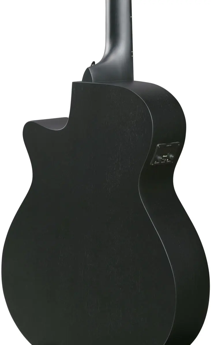 Ibanez AEG1221-BOT 12-String Akoestische Gitaar