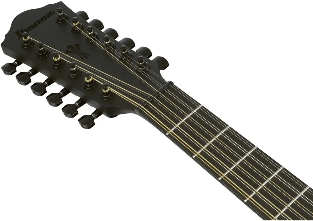 Ibanez AEG1221-BOT 12-String Akoestische Gitaar