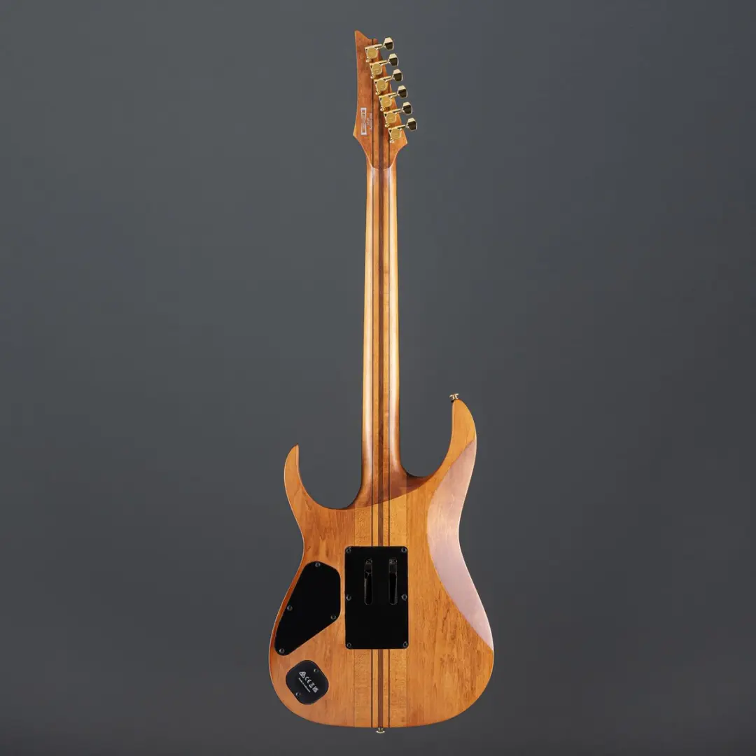 Ibanez Premium RGT1220PB-ABS Elektrische Gitaar - Antique Brown