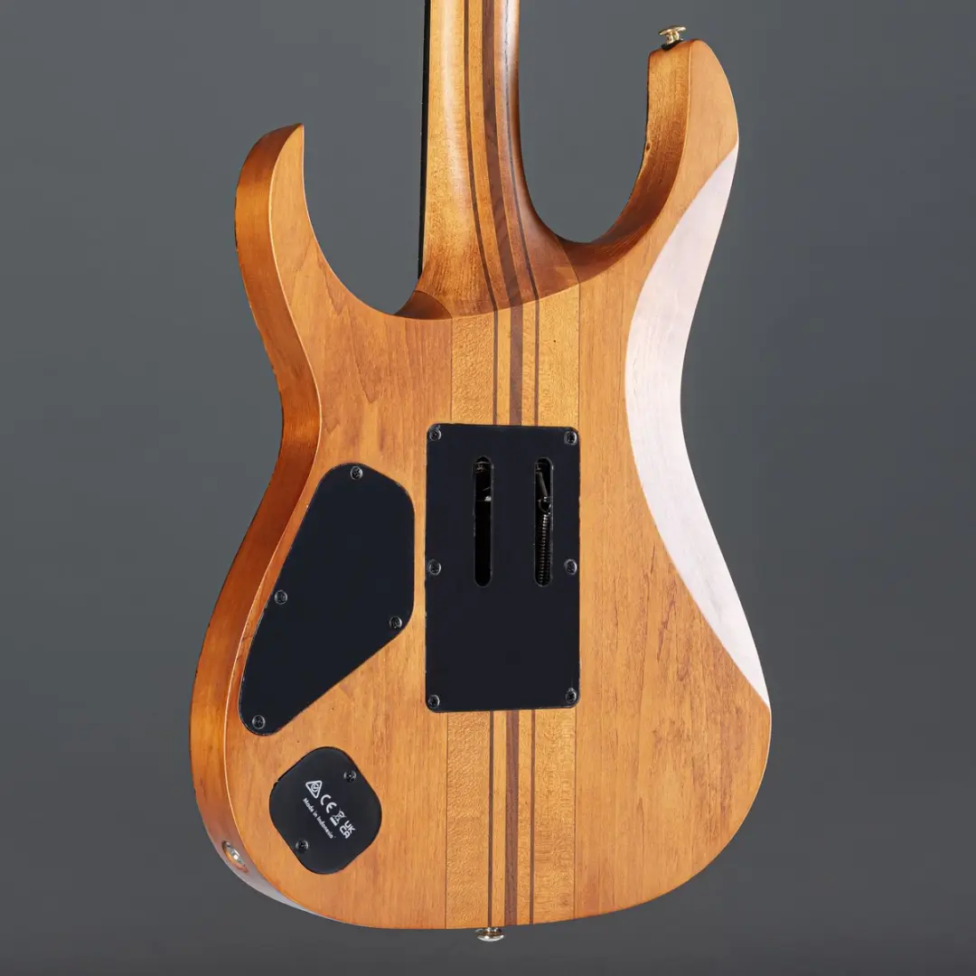 Ibanez Premium RGT1220PB-ABS Elektrische Gitaar - Antique Brown