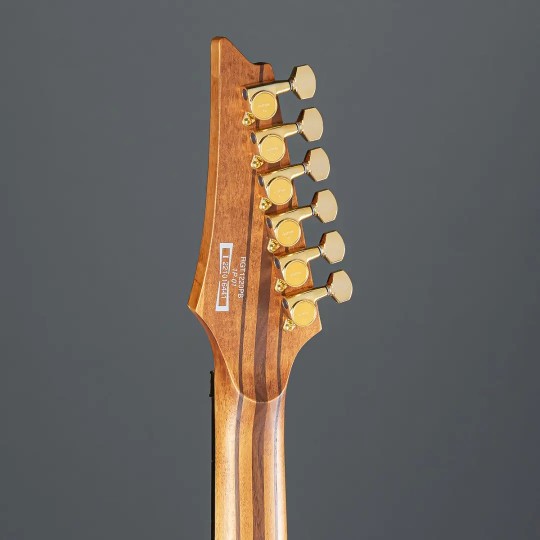 Ibanez Premium RGT1220PB-ABS Elektrische Gitaar - Antique Brown