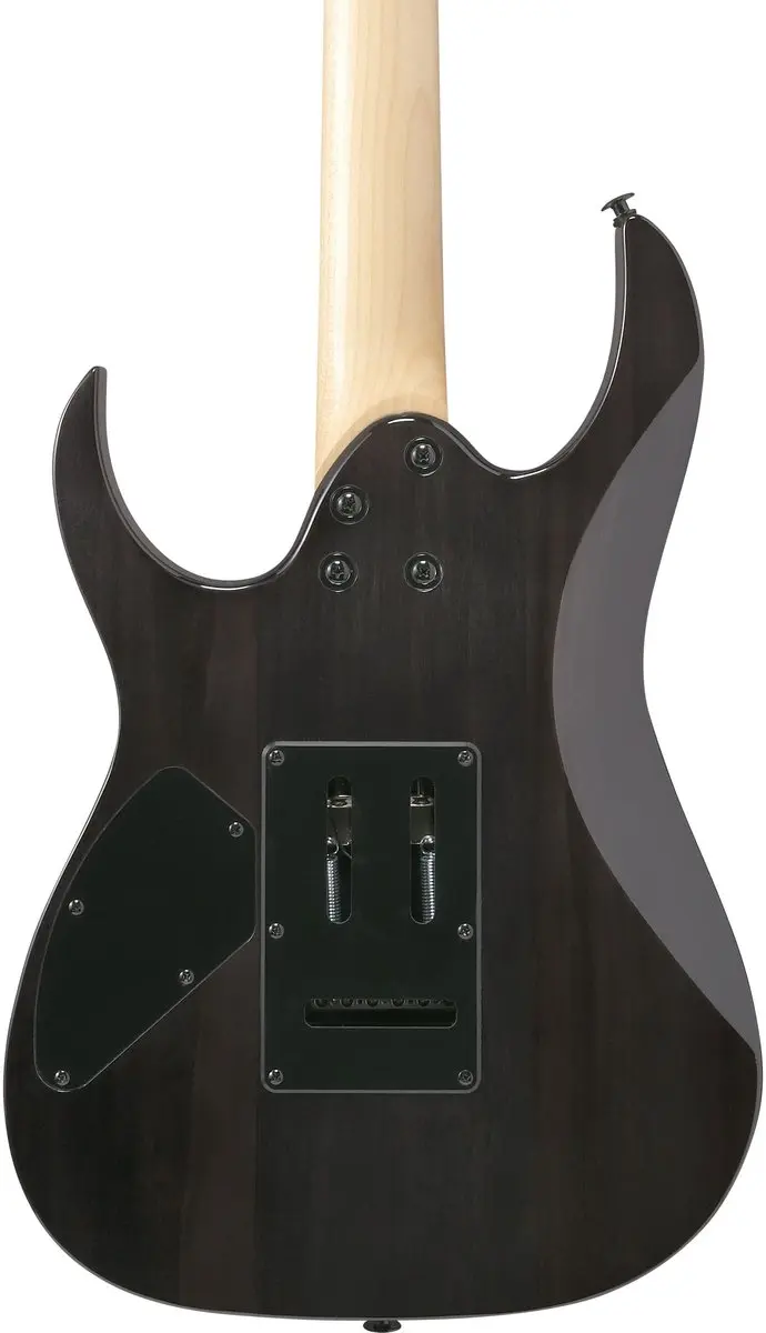 Ibanez Gio 120QASPBKG Elektrische Gitaar - Zwart Gradatie