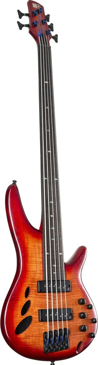 Ibanez SRD905F Elektrische Basgitaar