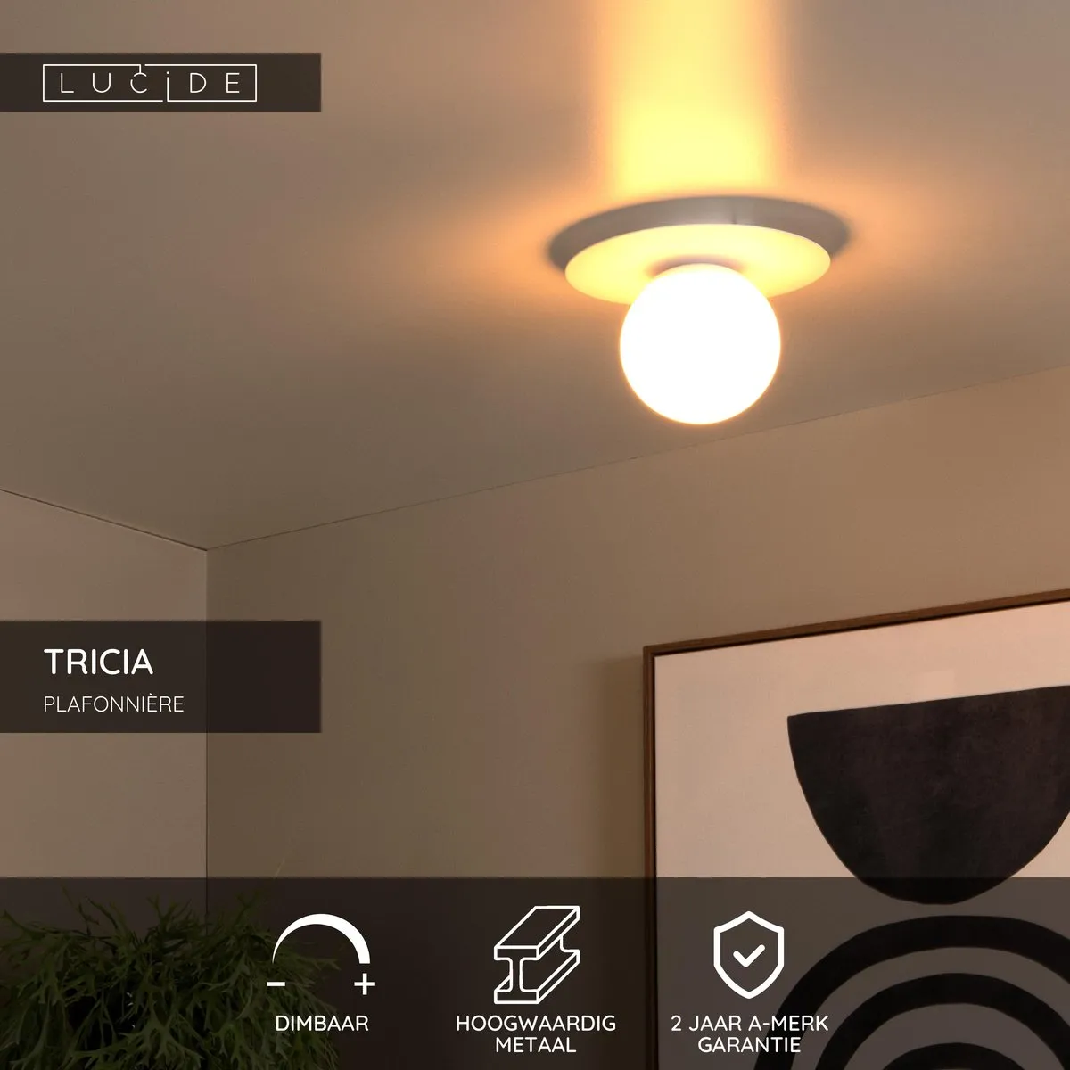Lucide Tricia Plafondlamp Ø25cm - 1xE27 - Wit