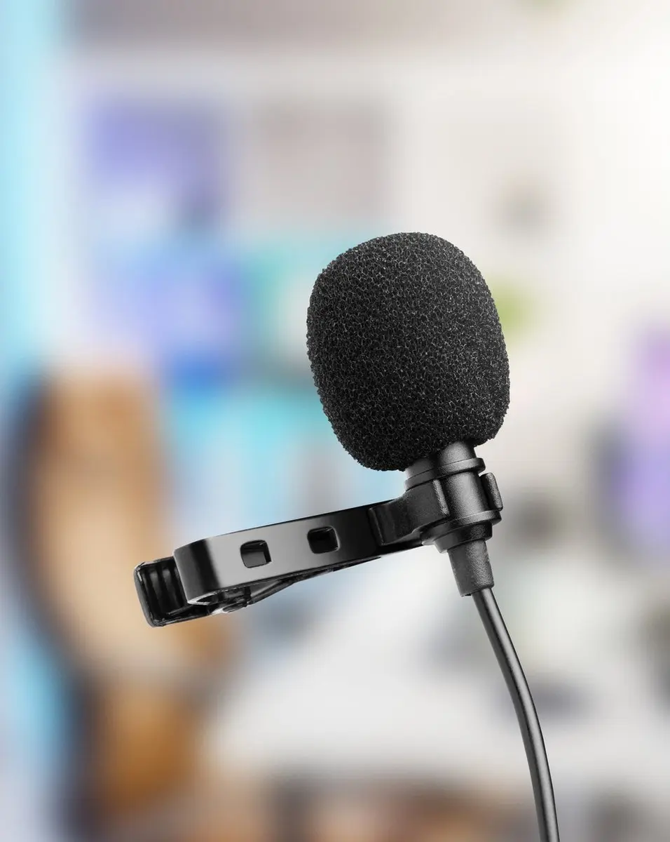 Sandberg 126-40 USB Clip Microfoon - Zwart