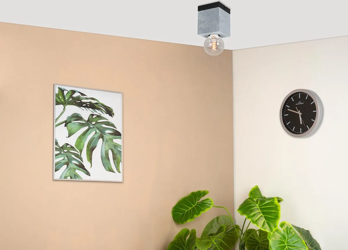 Eglo Prestwick 3 Plafondlamp E27 - 3 Lichtpunten - Zwart/Grijs