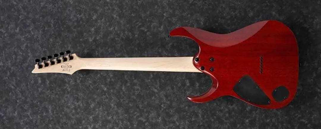 Ibanez RGA42FMTGF Elektrische Gitaar - Transparant Grijs