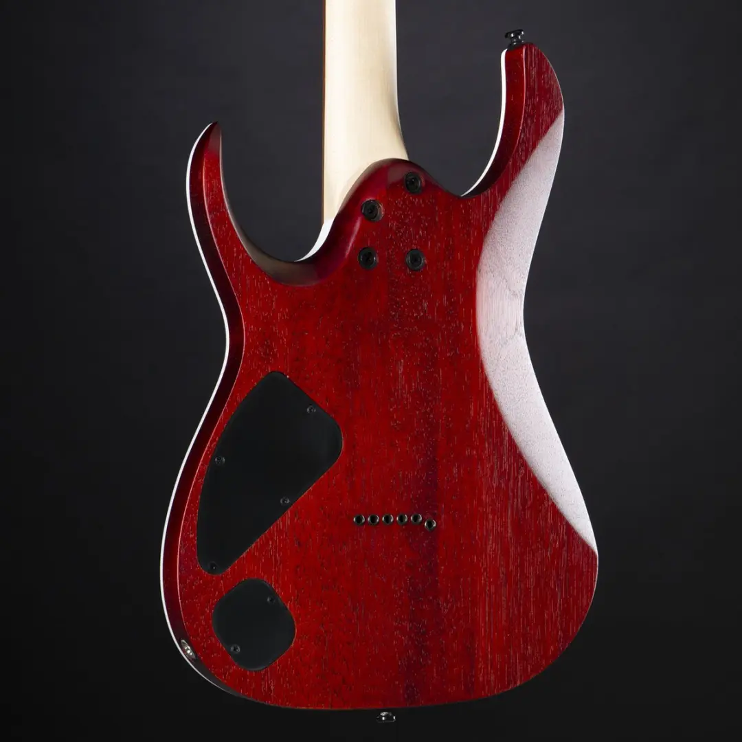 Ibanez RGA42FMTGF Elektrische Gitaar - Transparant Grijs