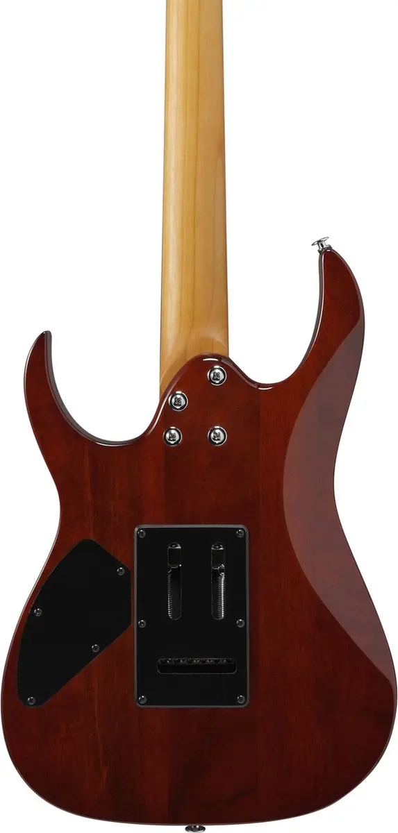 Ibanez Gio GRG220PA1 Elektrische Gitaar - Transparent Brown Black Burst