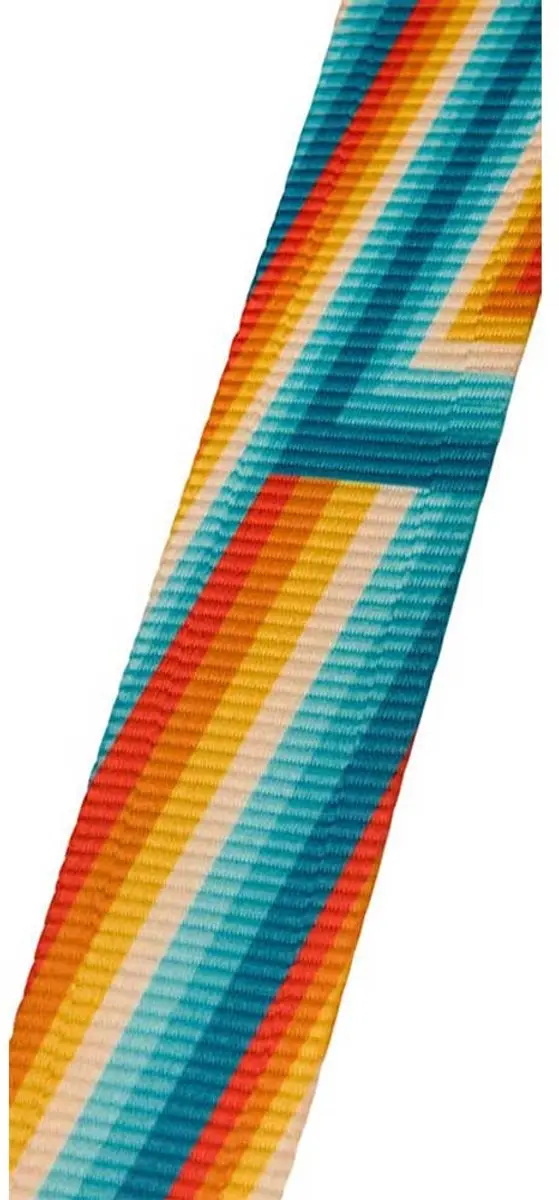 Fender Retro Ribbed Gitaarband - Regenboog
