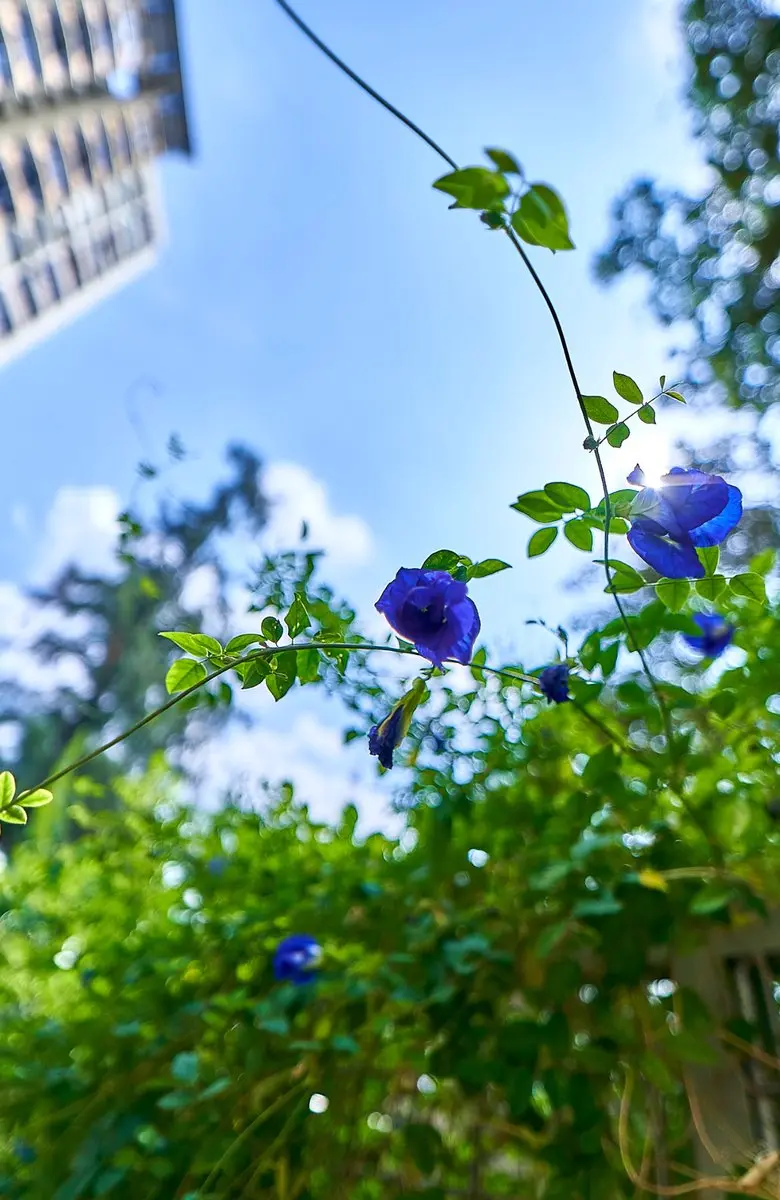 Samyang AF 18mm F2.8 Sony E Objectief - 58mm