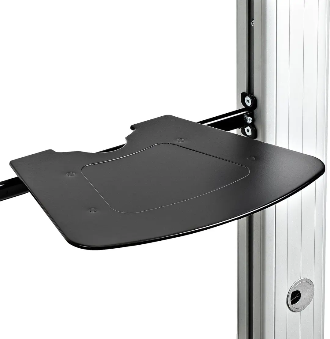 Startech STNDMTVDUO TV Standaard - 37-60" - 50kg - Zwart-Grijs