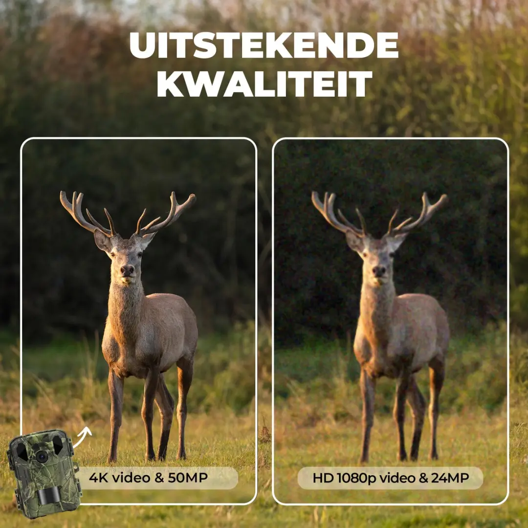 Denver WCS5023 Wildcamera 50MP - 4K - 256GB - Groen