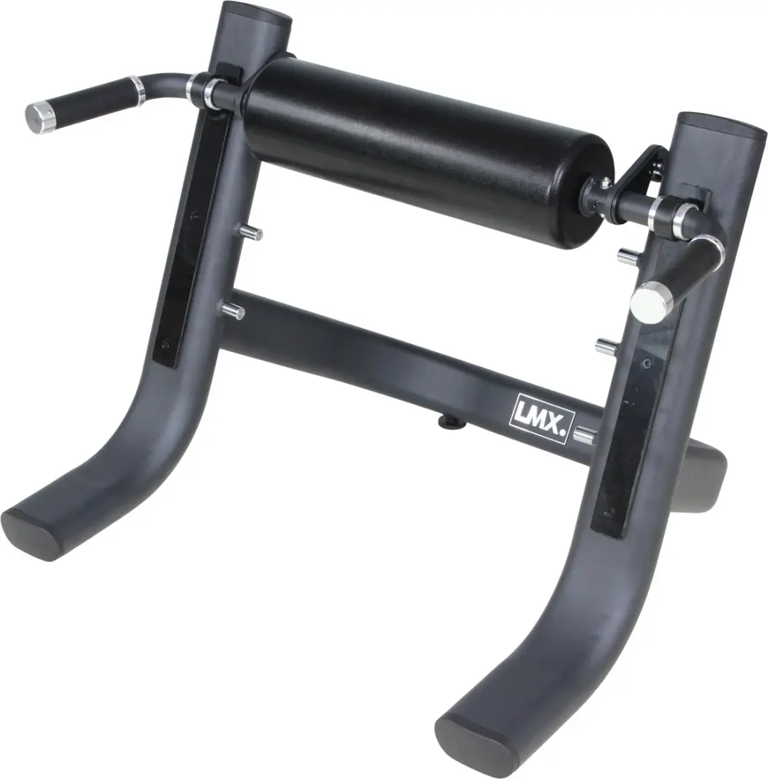 LifeMaxx LMX1072 Split Squat Stand