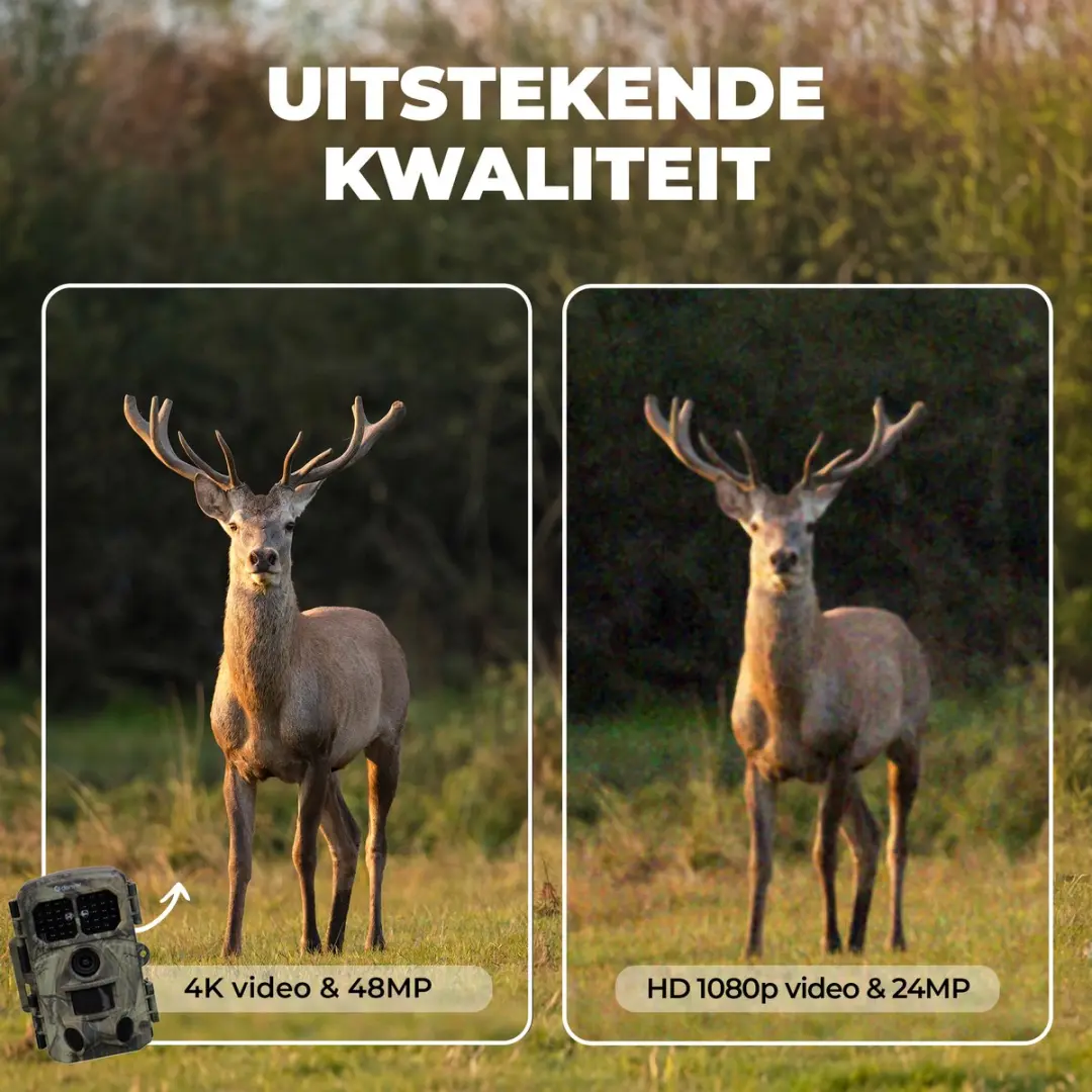 Denver Wildcamera WCT-8026 4K - 48MP - Nachtzicht - WiFi - Groen - afbeelding 6 van 6