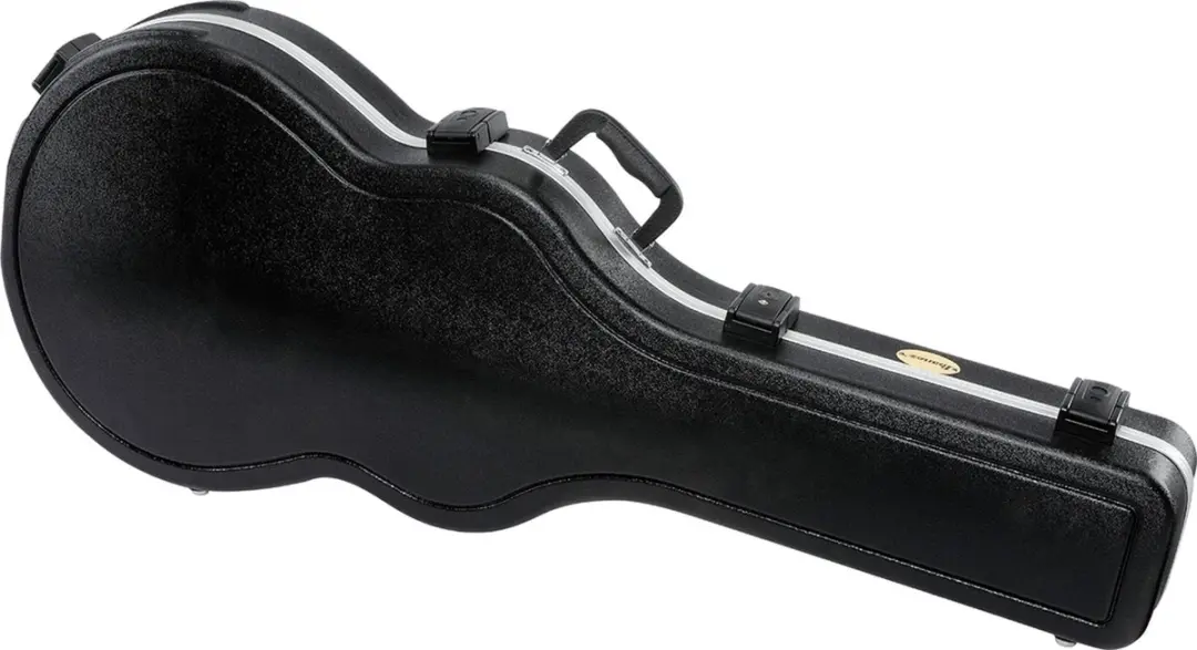 Ibanez MS100C Koffer
