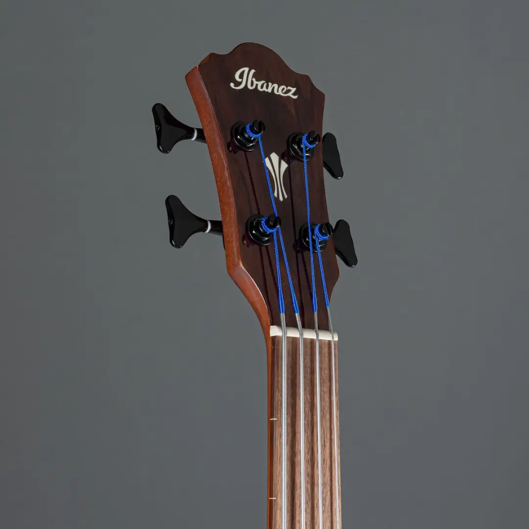 Ibanez AEGB24FE-MHS Akoestische Basgitaar - 24 Frets - Sunburst