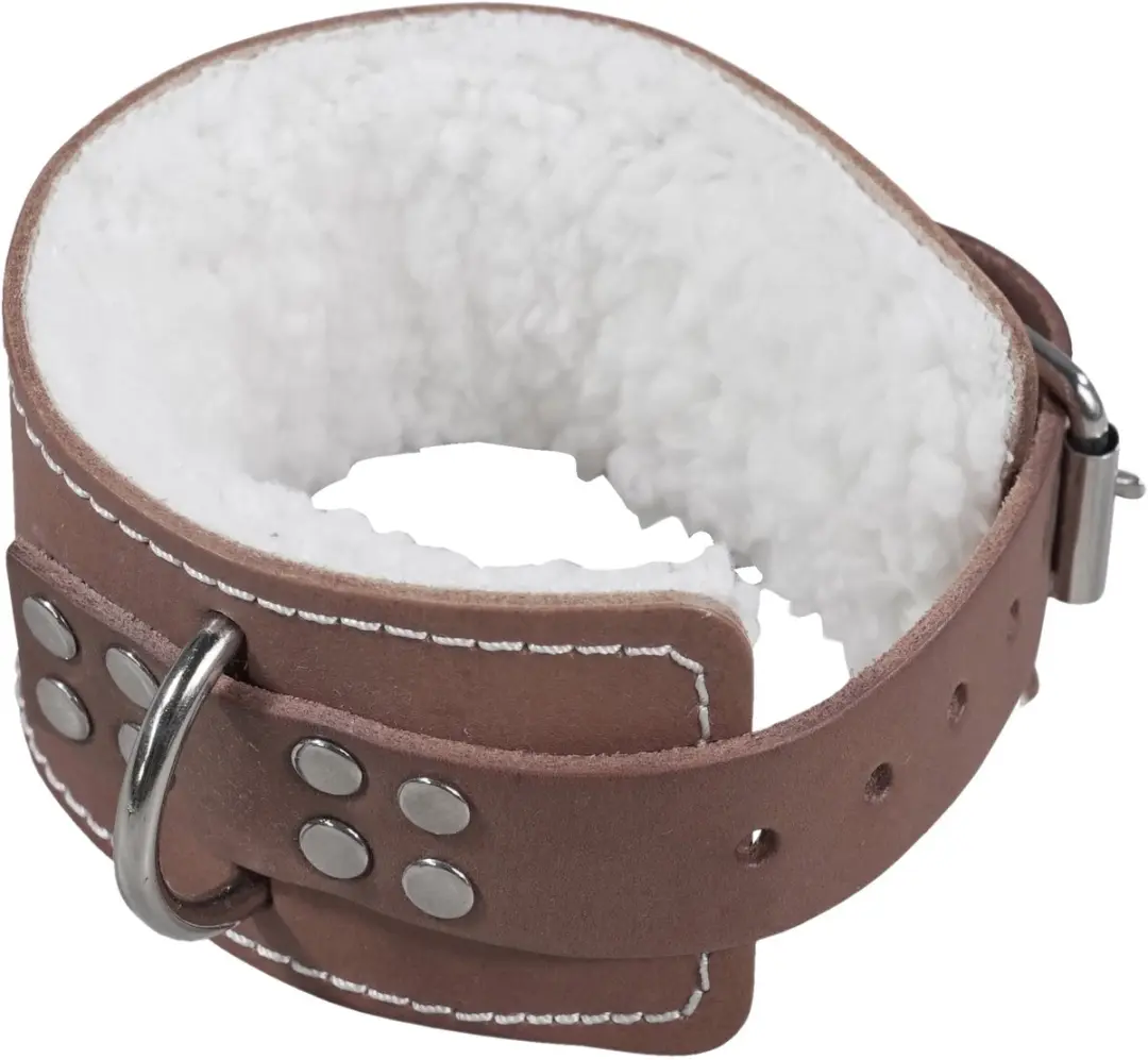 LifeMaxx Leather Enkelband