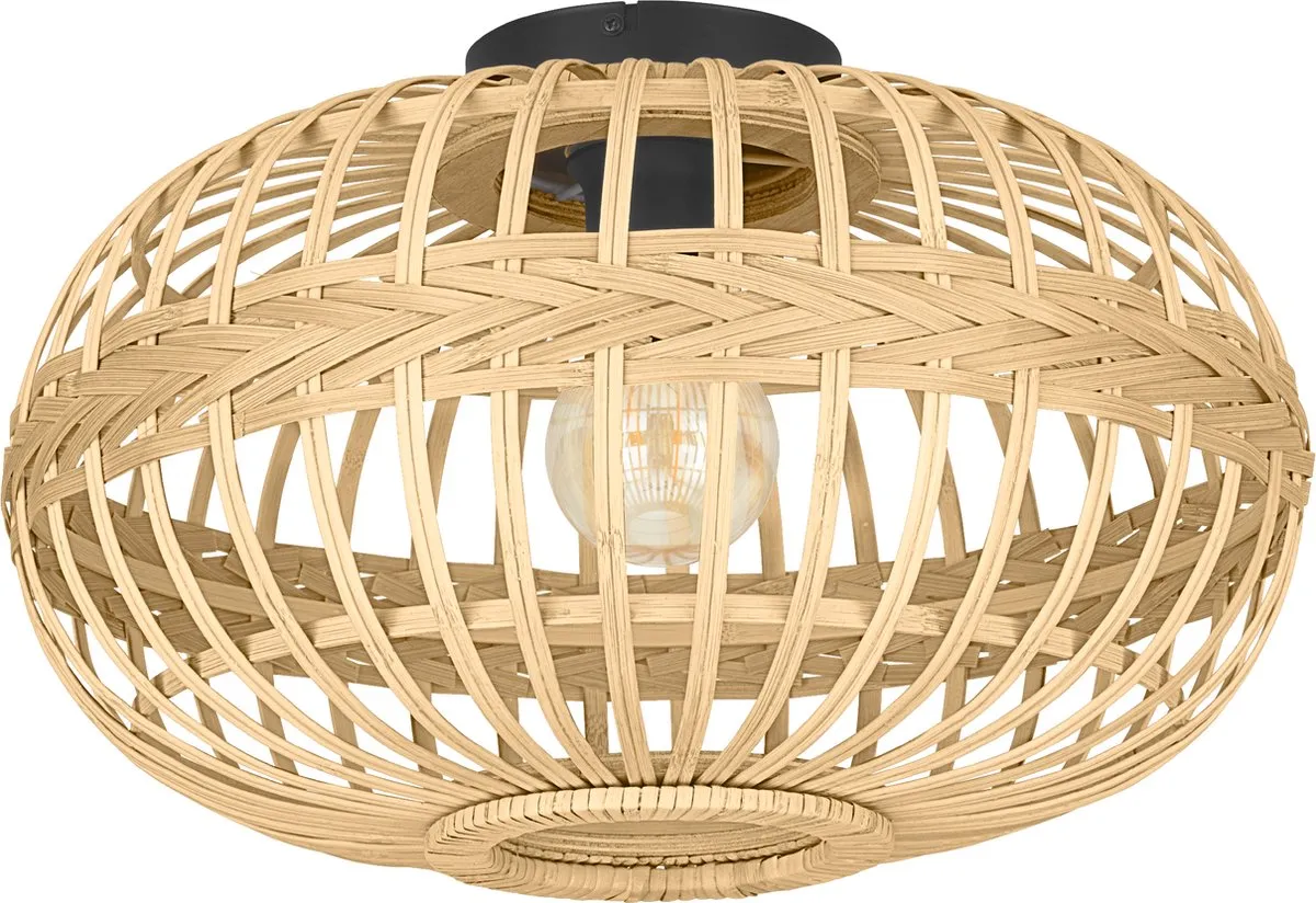 Eglo Amsfield Plafondlamp E27