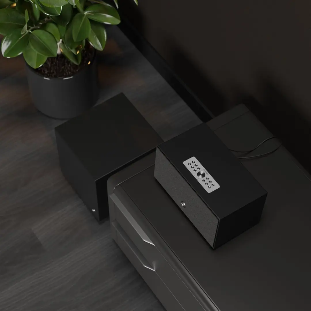 Audio Pro C10 MkII Actieve Luidspreker 80W - Zwart