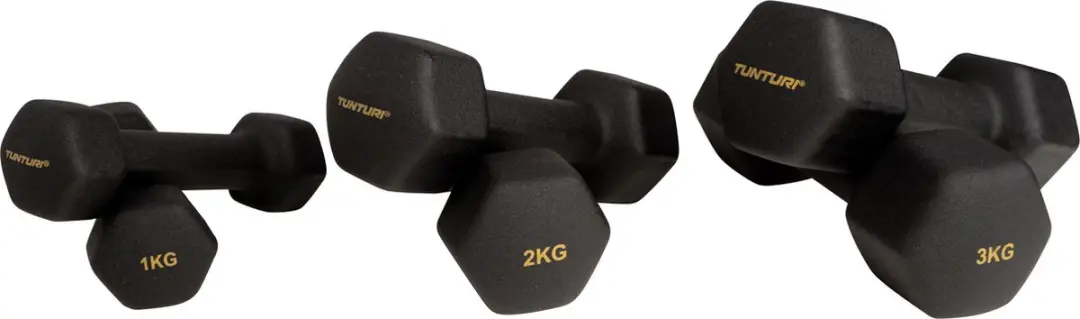 Tunturi Centuri Halterset - 3 Paar Neopreen Dumbbells 1-3kg - Zwart/Goud