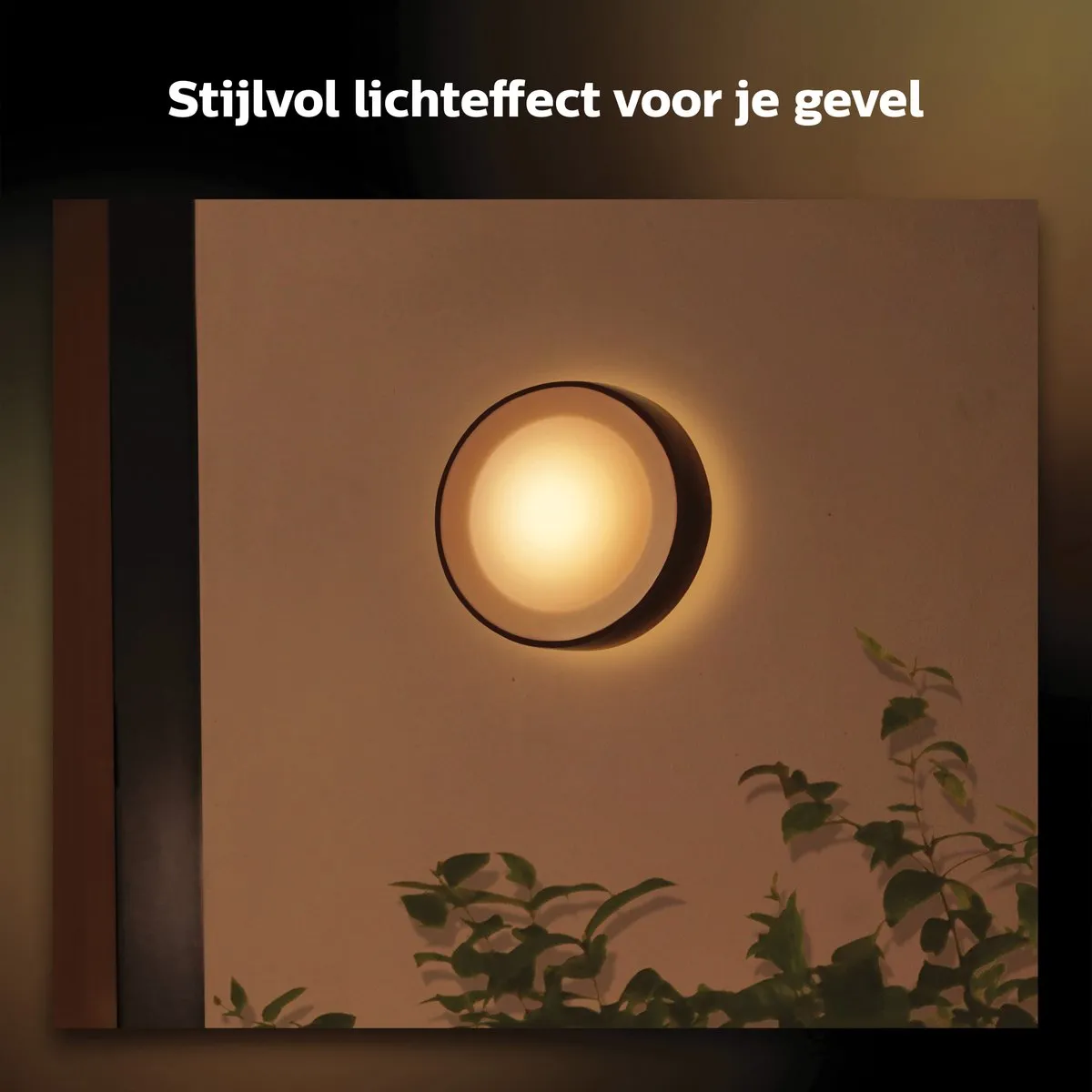 Philips Hue Daylo Muurlamp - Zwart