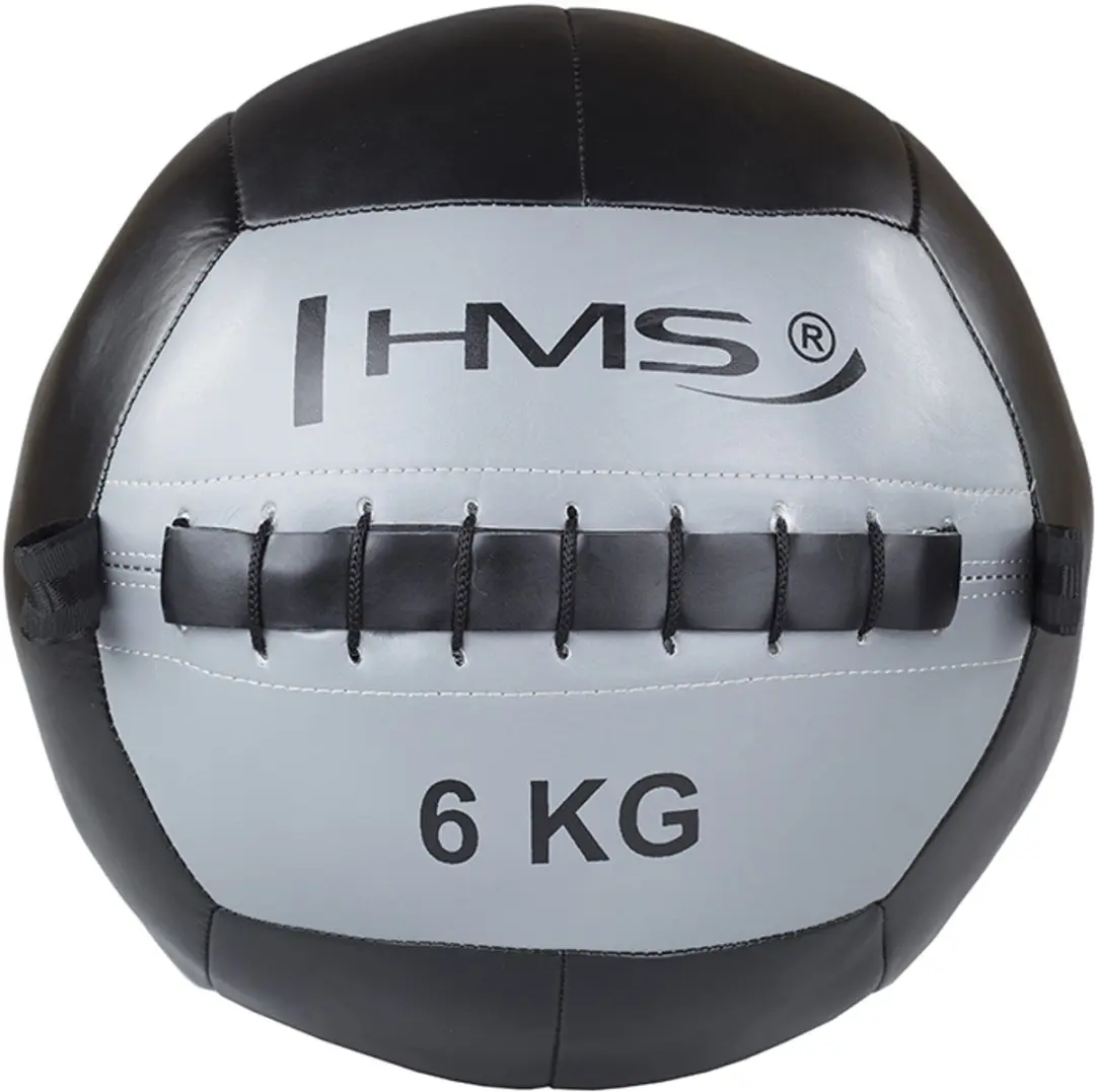 HMS WLB Serie Wandbal 6kg
