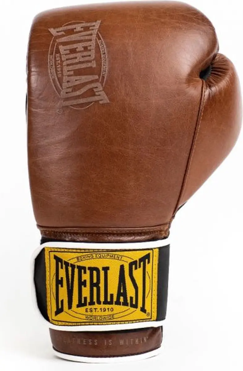 Everlast 1910 Classic Training Bokshandschoenen 12 oz - Vintage bruin