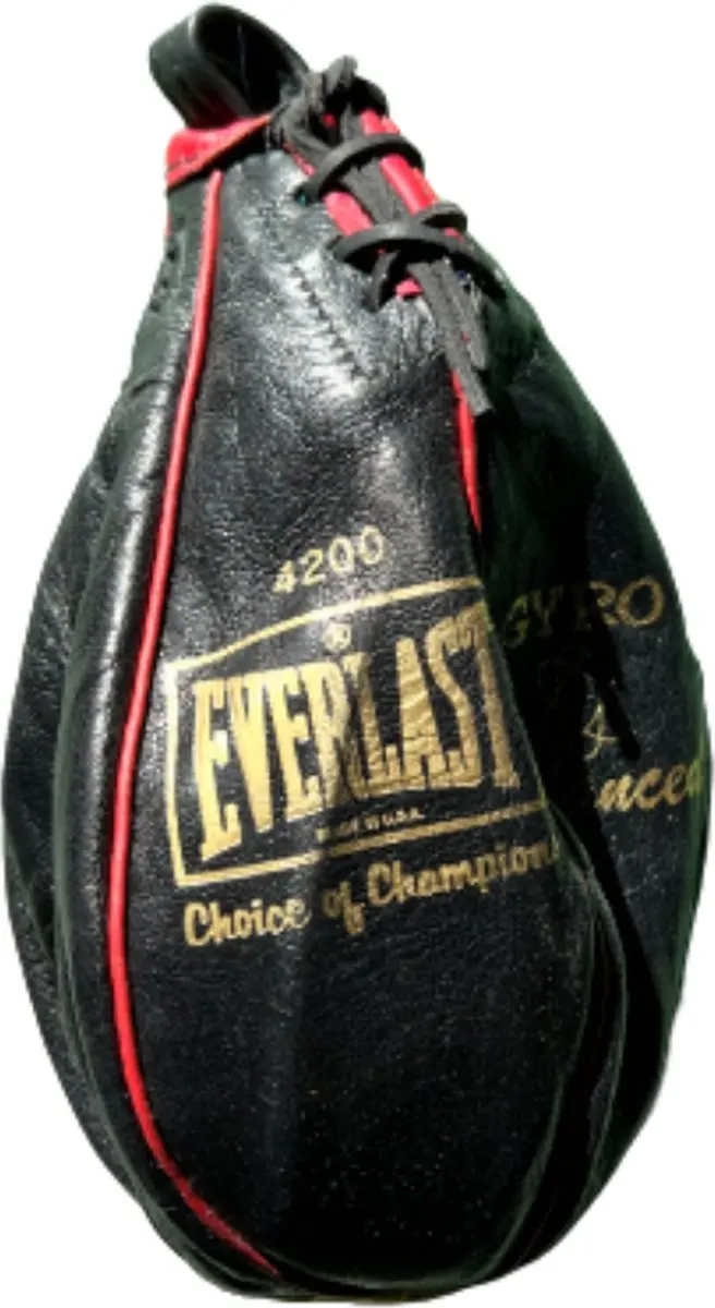 Everlast Speedbag Leder