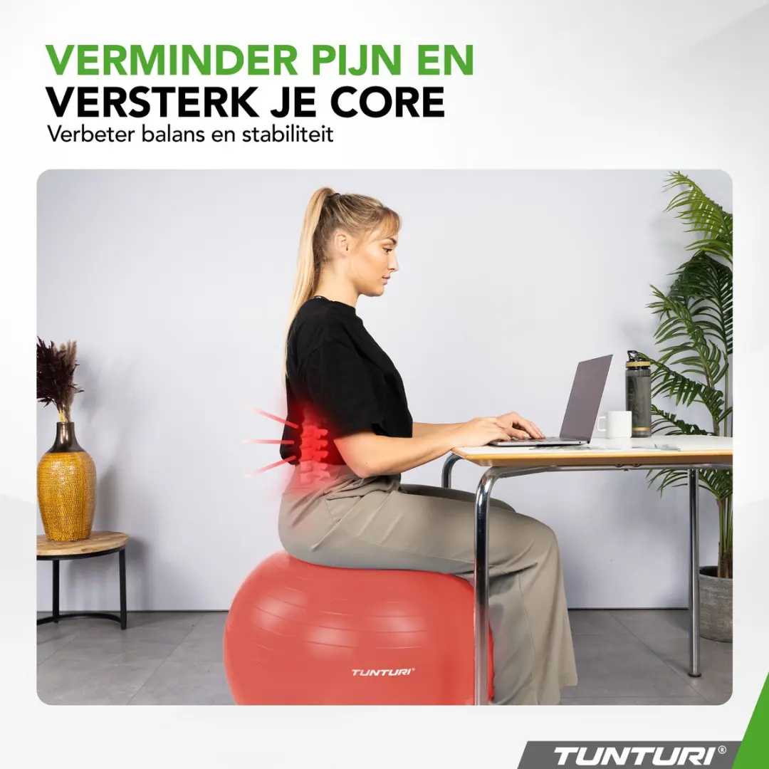Tunturi Anti Burst Fitnessbal 65cm - Rose Goud