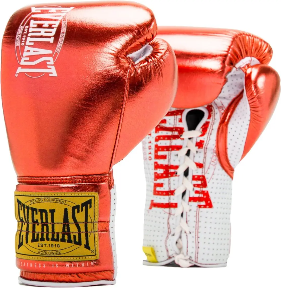 Everlast 1910 Fight Gloves 10 oz