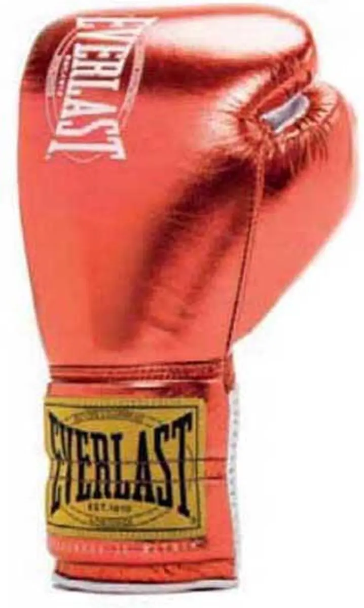 Everlast 1910 Fight Gloves 10 oz - Rood