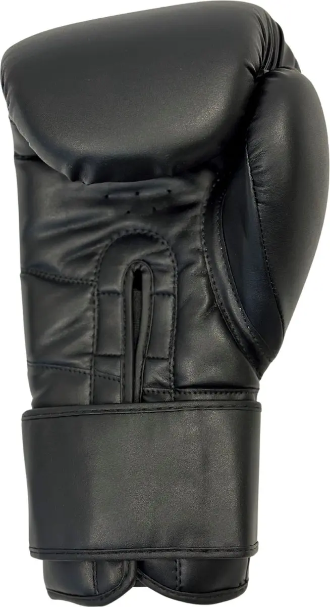 NRG Boxing F4 Bokshandschoenen 10 oz - Zwart