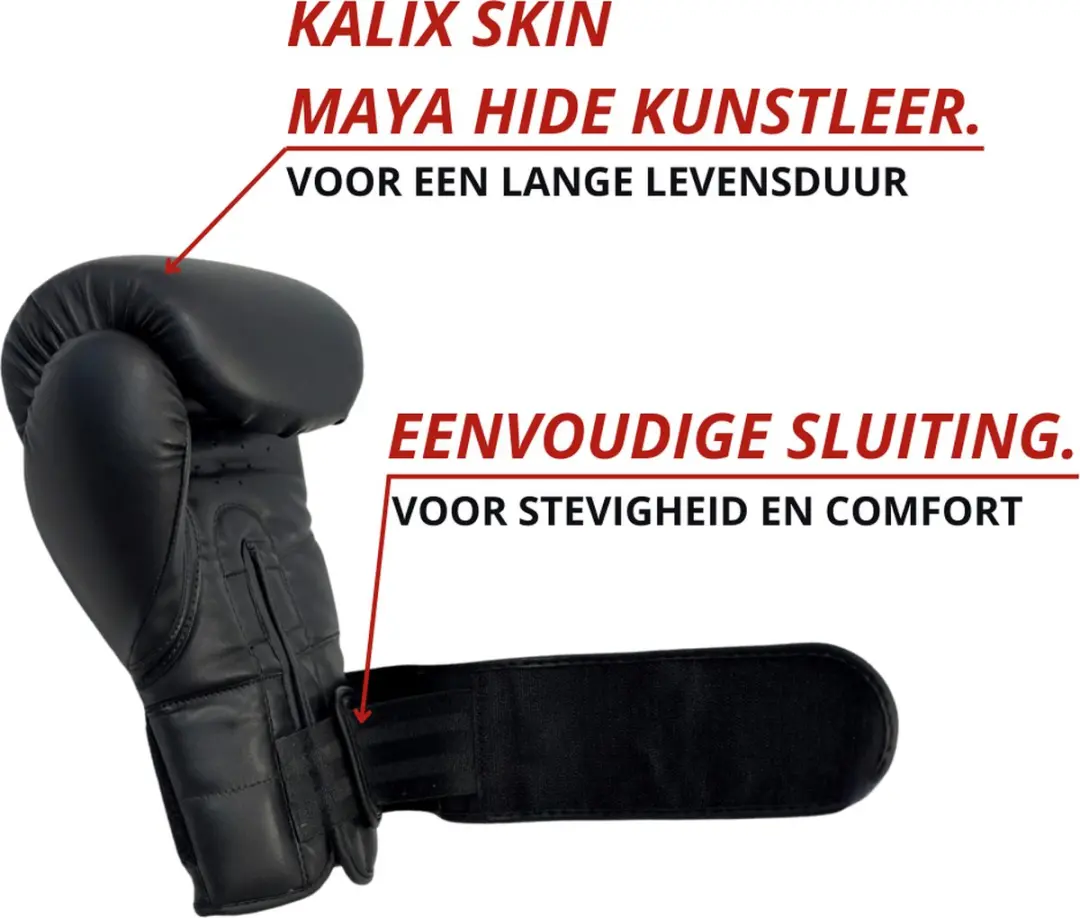 NRG Boxing F4 Bokshandschoenen 10 oz - Zwart