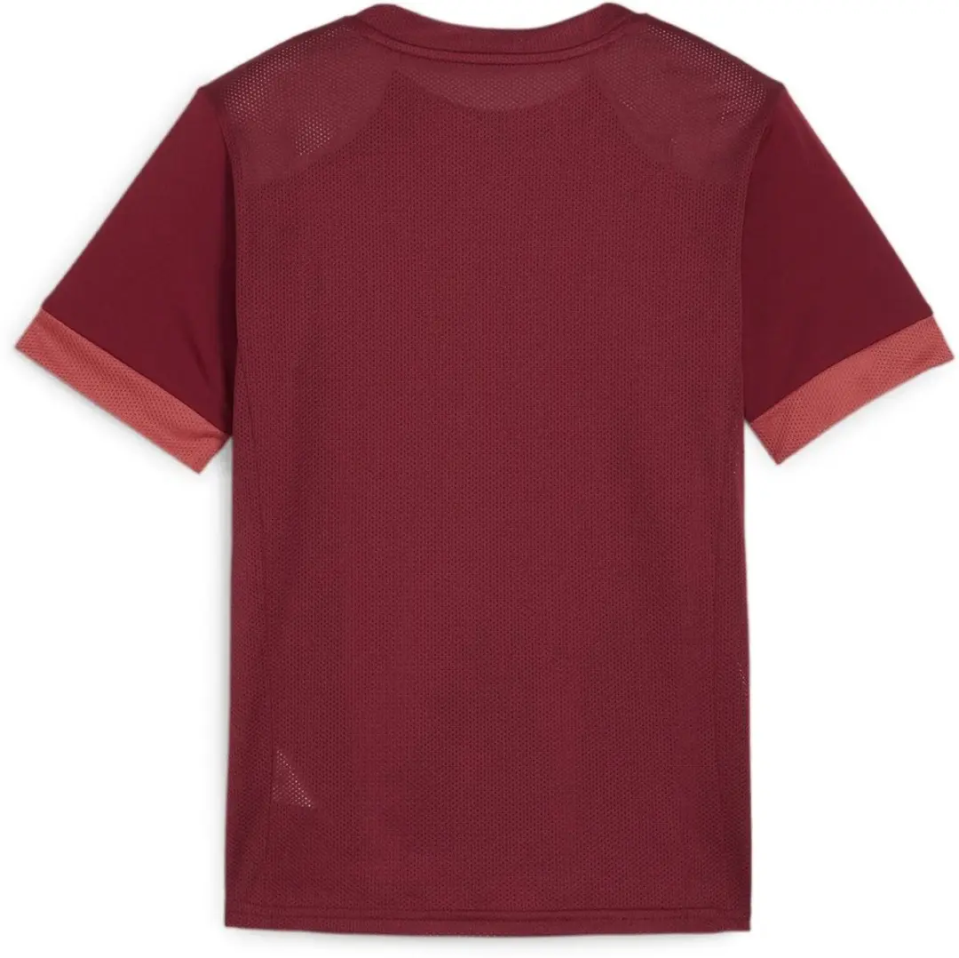 PUMA Kinder TeamGoal Matchday Jersey 164 - Team Regal Red/White/Astro Red