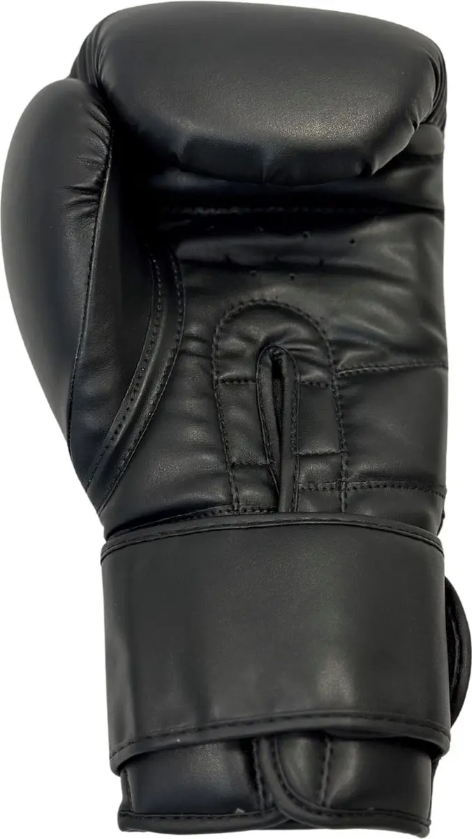 NRG Boxing F4 Bokshandschoenen 14 oz - Zwart