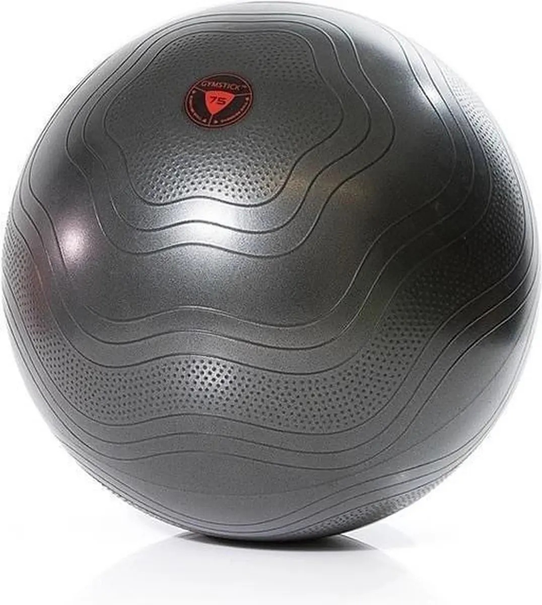 Gymstick Fitnessbal Ø65cm - Grijs