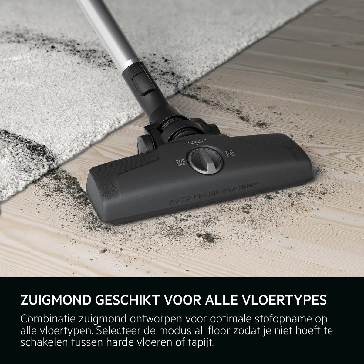 AEG AL61C2ECO Stofzuiger - Hepa 13 - 700W - 1.6L - Zwart/Grijs