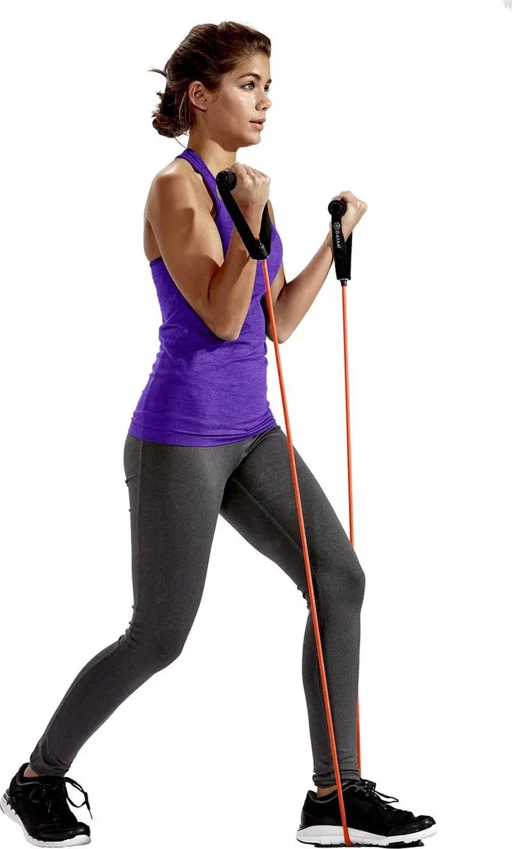Gaiam Resistance Tube Set - Paars