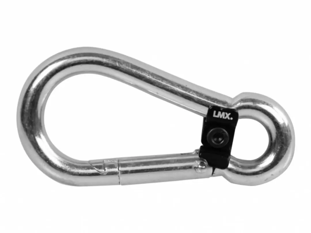 LifeMaxx LMX Karabijnhaken met slot - 10 Stuks