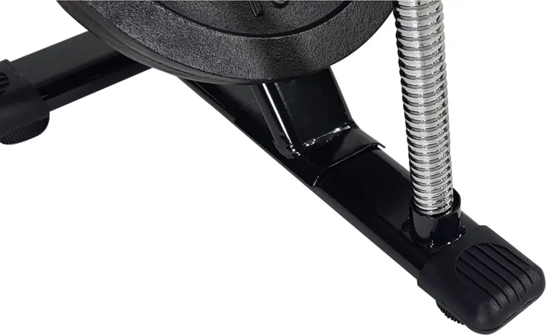 Tunturi Halterschijf Standaard 30mm - 42cm Zwart