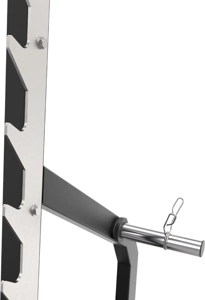 Toorx Professional WBX-3900 Halterbank - 50mm - Zwart/Chroom