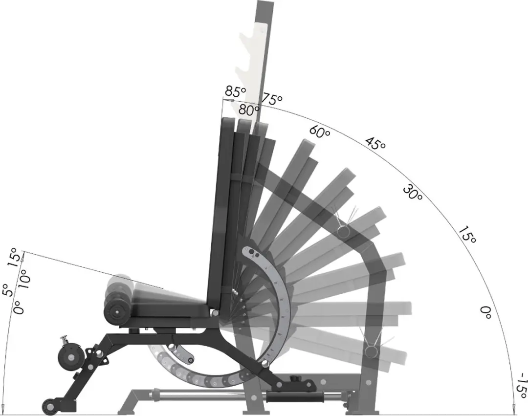 Toorx Professional WBX-3900 Halterbank - 50mm - Zwart/Chroom